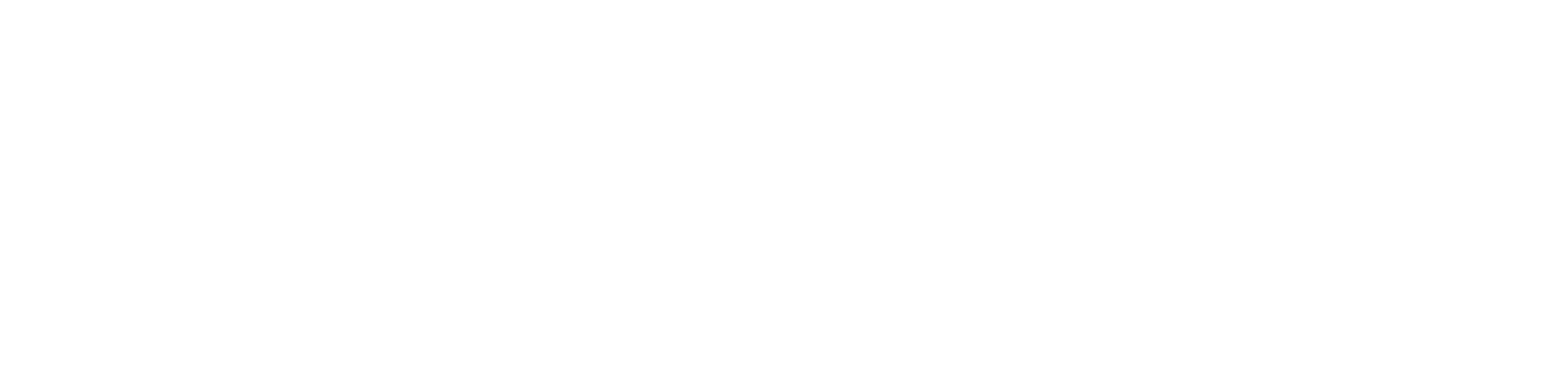 Videoland